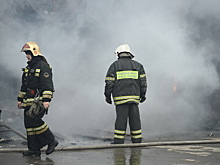Двоих детей спасли во время пожара в доме в Луховицах