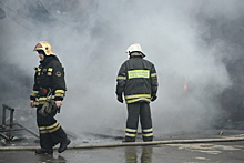 Двоих детей спасли во время пожара в доме в Луховицах