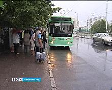 Профилактическое мероприятие «Автобус» началось в Калининграде