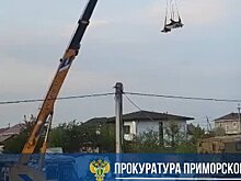В Приморье крановщик прокатил коллегу на стреле крана