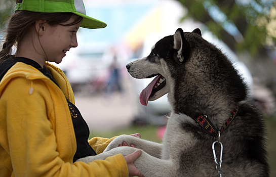 Кинологи назвали популярные породы собак у москвичей