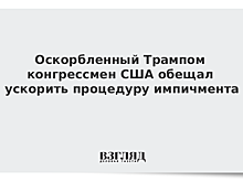 Оскорбленный Трампом конгрессмен США обещал ускорить процедуру импичмента