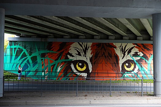 Новые муралы появились на улицах Владивостока