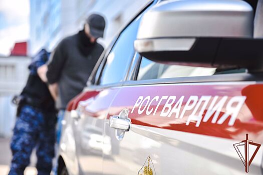 Росгвардия предложила разрешить охранникам сбивать БПЛА из пулеметов