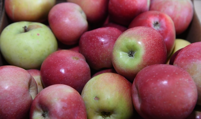 Эксперты заявили, что яблоки помогают похудеть и поддерживать здоровье мозга