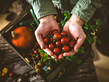 Закрылся российский стартап по доставке фермерских продуктов Foodza