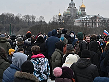 "Работают на Запад": сенатор об организаторах акций в поддержку Навального