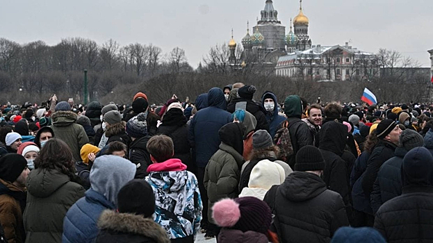 "Работают на Запад": сенатор об организаторах акций в поддержку Навального
