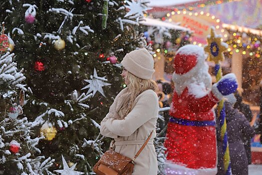 Более 270 обращений от туристов пришло на «горячую линию» Общественной палаты РФ в новогодние праздники