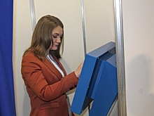 Политические партии высказались о системе ДЭГ