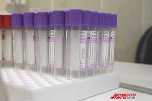 Роботы для аукционов помогли пермскому УФАС выявить сговоры на торгах