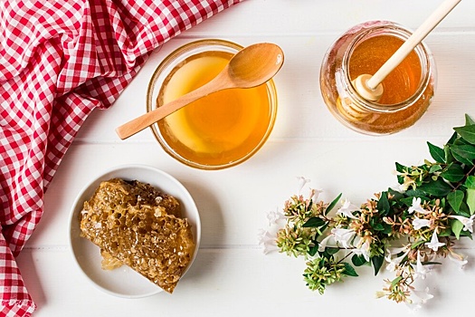 Нижегородские специалисты обнаружили антибиотики в пчелином меде