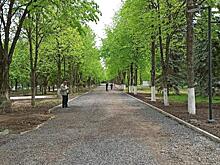 В Железногорске ко Дню города обещают завершить реконструкцию аллеи имени Андрея Варичева