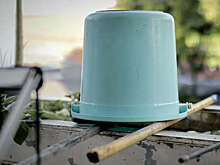 Ulpressa.ru: в Ульяновской области мужчина отлупил соседку ведром во время ссоры