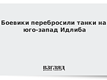 Сирийские военные ликвидировали 350 террористов в провинции Хама