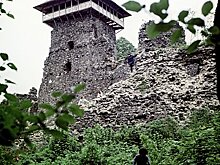 В Венгрии опровергли партнерство с Украиной в вопросе закарпатских венгров