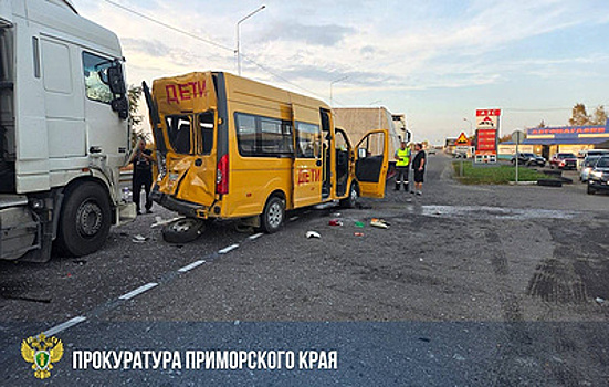 В Приморье в ДТП с большегрузами пострадали шестеро детей