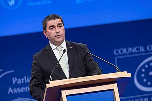 «Неблагодарный человек»: спикер парламента Грузии  раскритиковал Зеленского