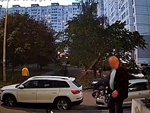 Уголовное дело заведено после избиения собаки-инвалида в Подольске