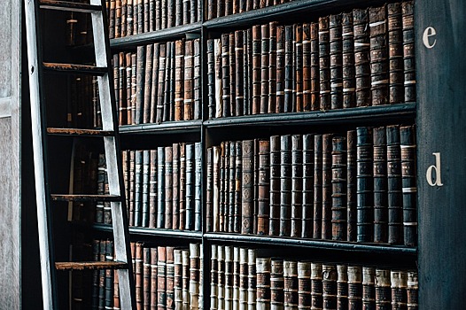 В библиотеку на Алтушке поступили новые книги