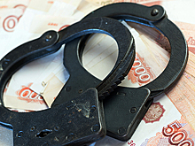 Экономические преступления в РФ выведут из уголовного поля