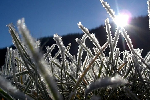 Ночью в четверг в Карелии ожидается серьезное похолодание