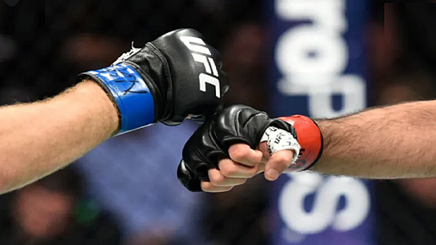 Махачев, Волков и Малыхин номинированы на премию World MMA Awards