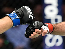 Махачев, Волков и Малыхин номинированы на премию World MMA Awards
