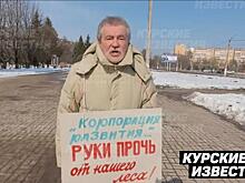 В Железногорске прошел одиночный пикет против застройки леса