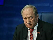 Госдума согласилась на передачу в суд дела депутата Рашкина
