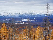 На Дальнем Востоке выдано более тысячи электронных виз