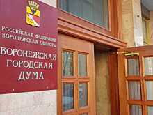 В Воронежской горДуме подсчитали число обращений