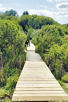 Мост через Крупку восстановлен