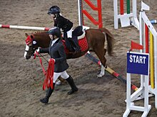 Современный конноспортивный комплекс построят в Черноголовке до конца 2023 года