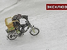 Доставка с риском: как в Москве собираются бороться с опасной ездой курьеров