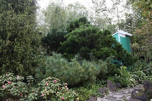 «Жуть!»: пугающую находку в кустах сняли на камеру в Приморье