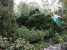 «Жуть!»: пугающую находку в кустах сняли на камеру в Приморье