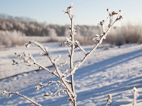 В Башкирии ожидается значительное потепление