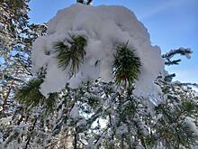МЧС перешло в режим повышенной готовности из-за непогоды в Забайкалье