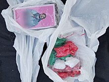 Портреты покойного Паши Техника помогли двум друзьям стать уголовниками в Костромской области