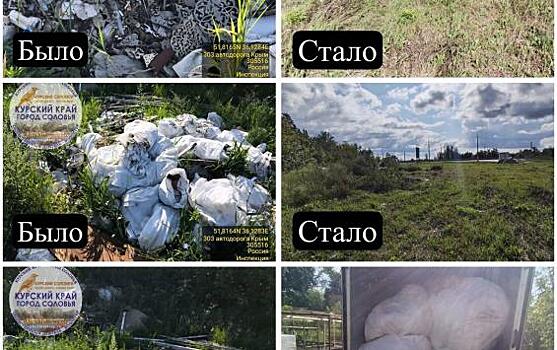 В Курском районе предприниматель ликвидировал свалку после жалобы экоактивиста