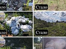 В Курском районе предприниматель ликвидировал свалку после жалобы экоактивиста