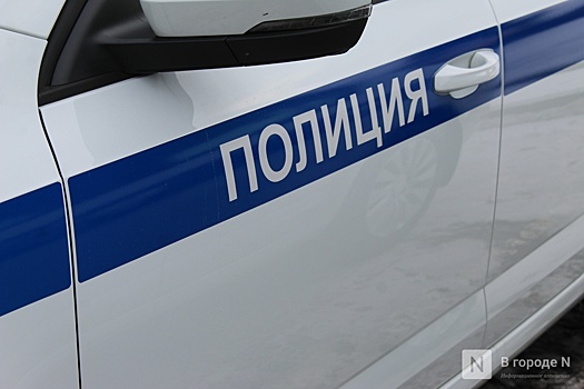 Полиция разыскивает свидетелей смертельного ДТП в Дзержинске