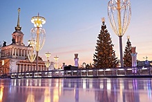 Где покататься на коньках в Москве: 10 открытых площадок зимы 2021–2022