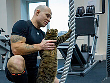 Кот Виктор провёл тренировку в тренажёрном зале клуба КХЛ, фото