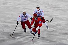 Хоккей с мячом: «Сибсельмаш» одержал победу над «Уральским трубником»