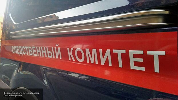 СК озвучил основные версии авиакатастрофы в Москве