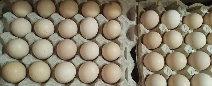 Цена на яйца в ЛНР будет стабилизирована