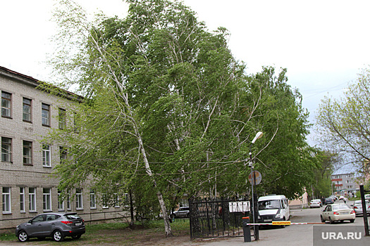 В Челябинской области ожидается усиление ветра до 20 м/с