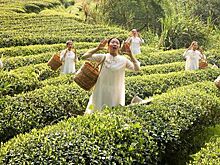 Экотуризм в городском округе Уишань